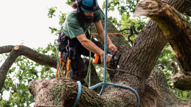 Tree Trimming