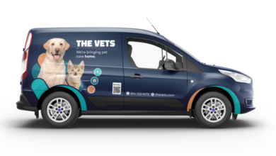 The Vets, a pet well being care system that presents at-home care, raises M led by Think about World – TechCrunch