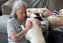 Missouri Woman Transform Home in to Dog Hospice Home