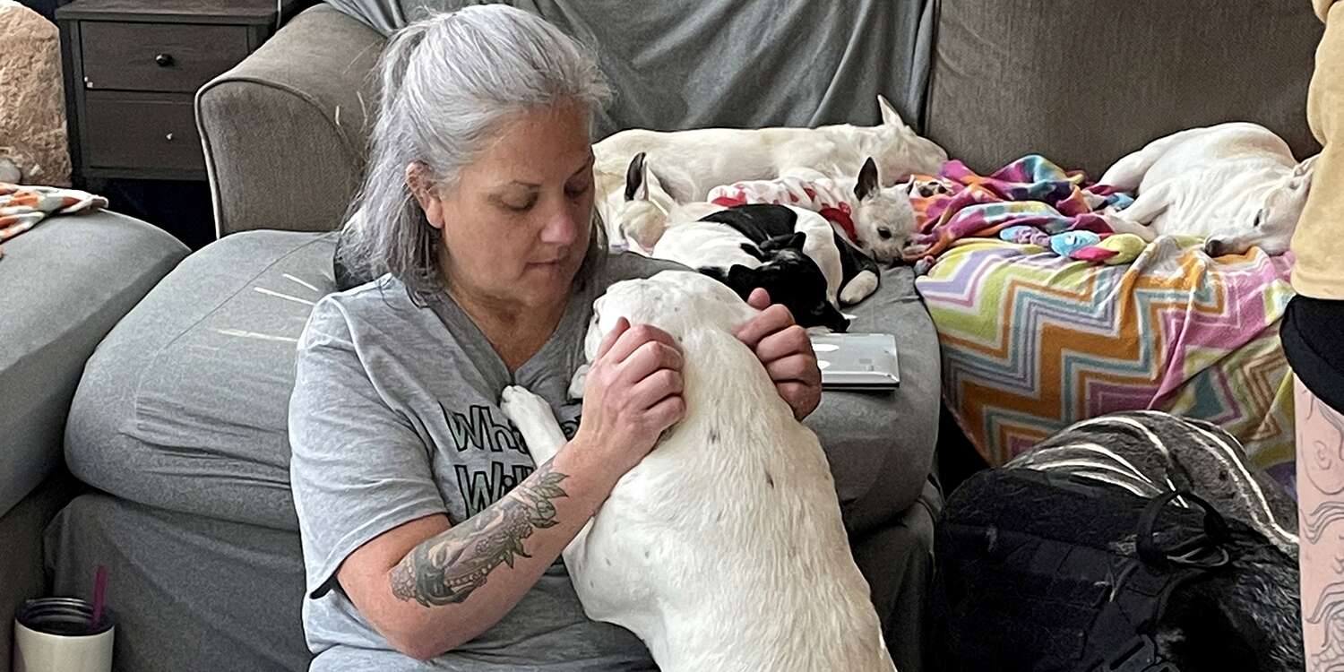 Missouri Woman Transform Home in to Dog Hospice Home