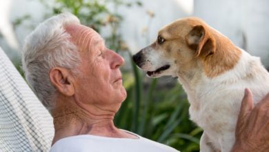 Pets in aged care houses would make paw-fect sense with new device