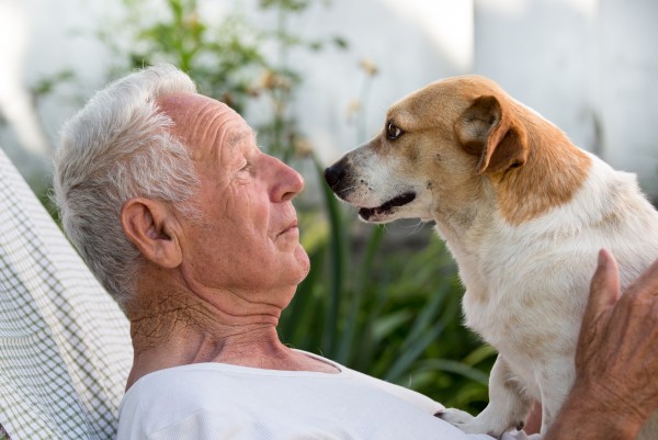 Pets in aged care houses would make paw-fect sense with new device