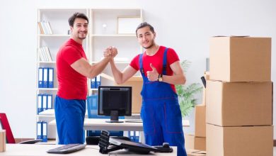 Understanding the Services Offered by Professional Removalists in Australia