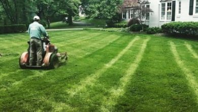 Choose Rototillerguy for Reliable and Professional Lawn Care in Los Angeles