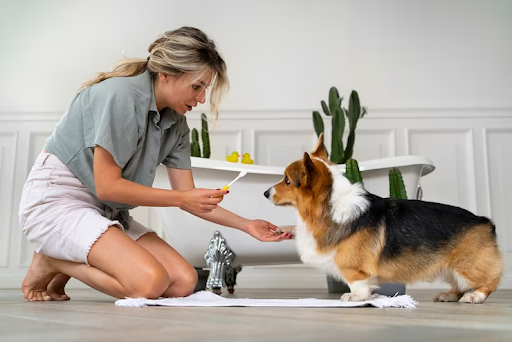 Tips for Maintaining Pet Health and Well-Being