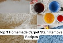 Top 3 Homemade Carpet Stain Remover Recipes