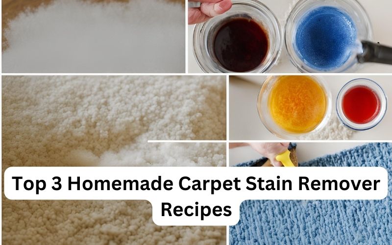 Top 3 Homemade Carpet Stain Remover Recipes