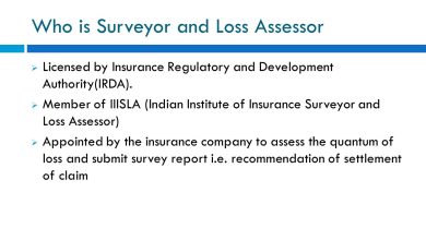 Loss Assessors