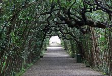 Nature Meets Art: Exploring the Majestic Boboli Gardens in Florence